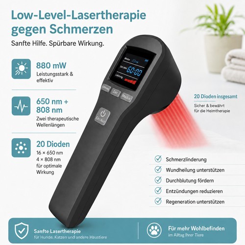650nm 808nm kaltlaser - 650nm,